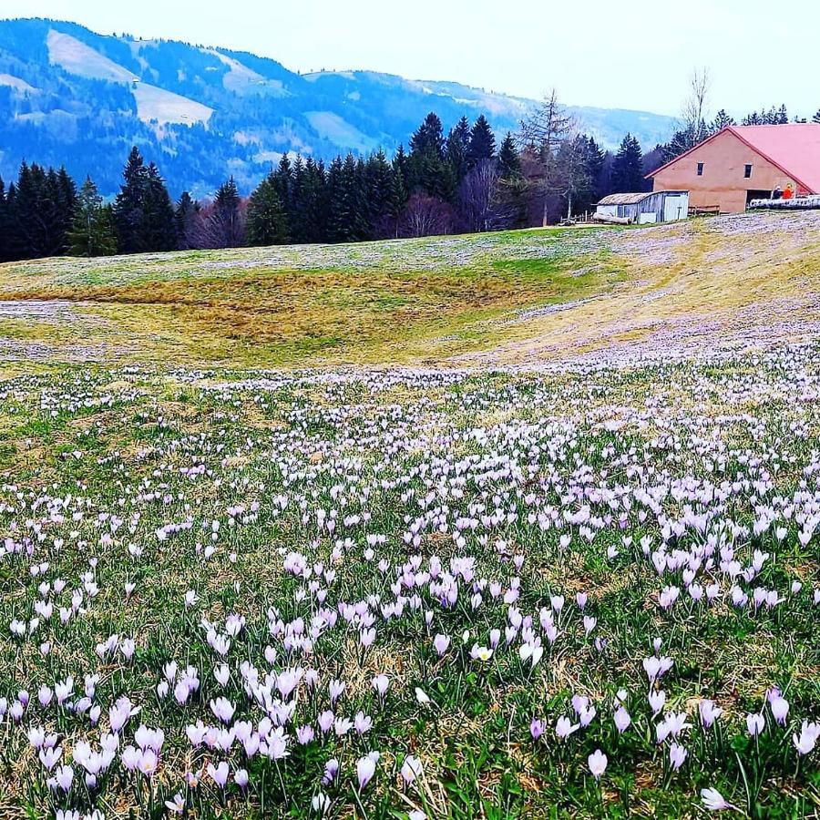 Landhaus Eibelesee Oberstaufen Exterior photo