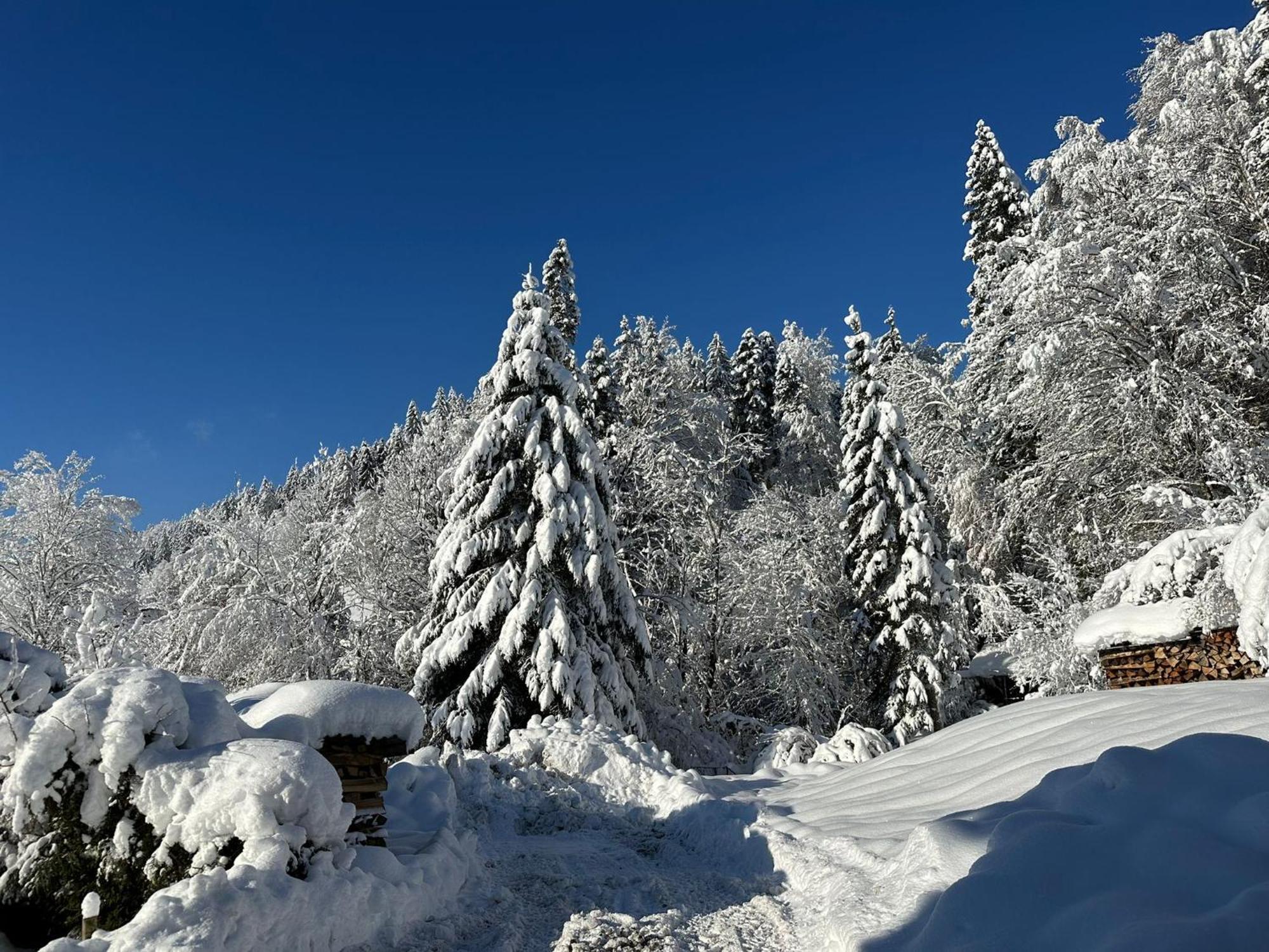 Landhaus Eibelesee Oberstaufen Exterior photo