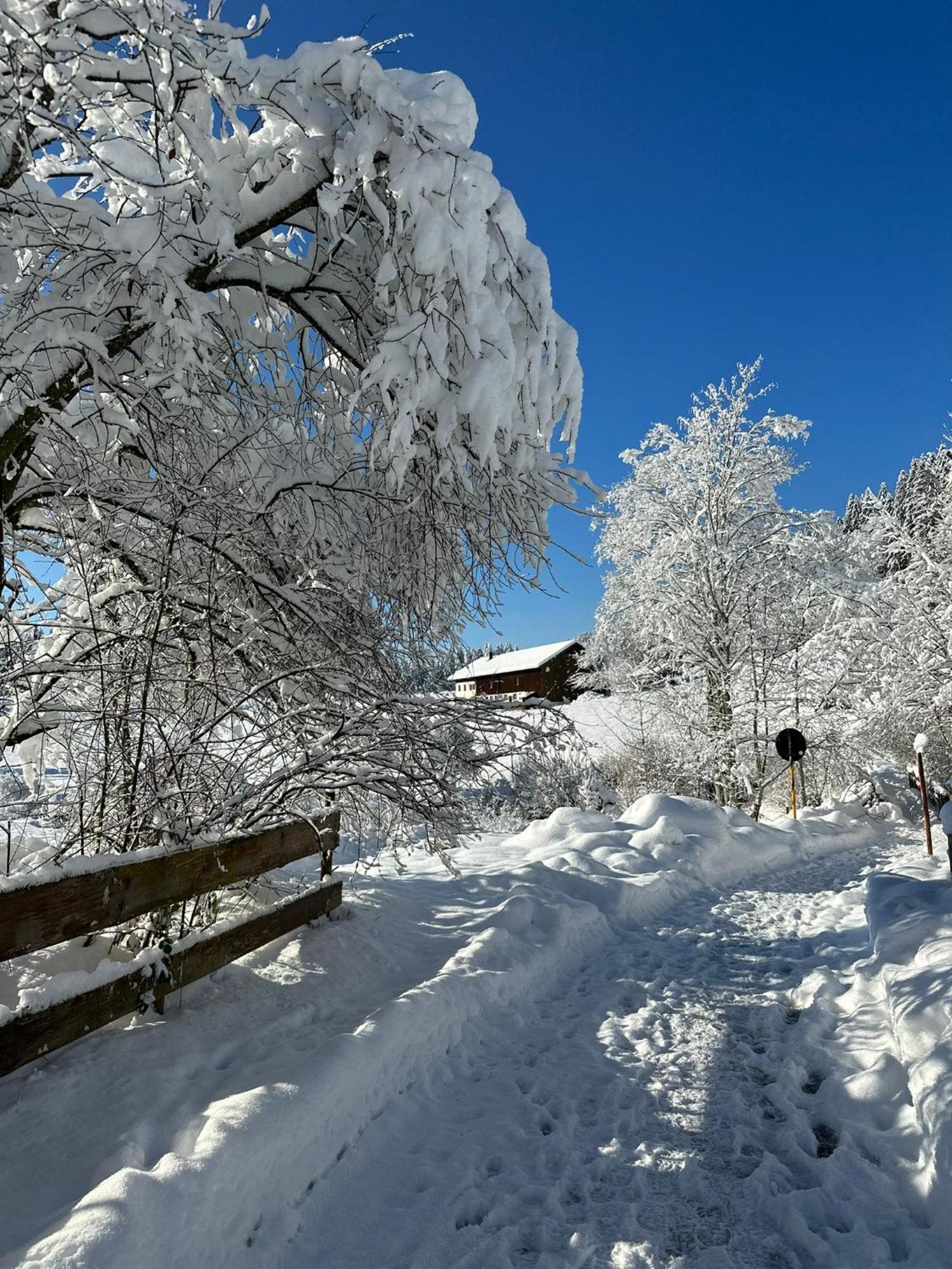 Landhaus Eibelesee Oberstaufen Exterior photo